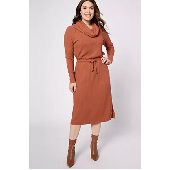 AnyBody Sz 1X Cowl-Neck Dress Drawstring Waist Rib Knit Garnet Red A623540 - Picture 13 of 13